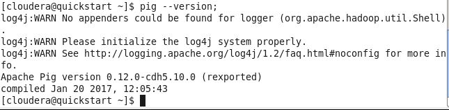 PigVersion_FromTerminal